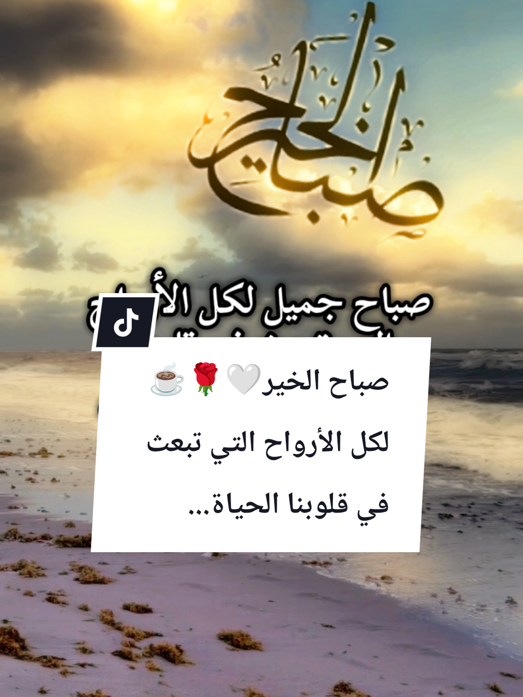 #souzan396 #صباح_الخير  صباح الخير🤍🌹☕لكل الأرواح التي تبعث في قلوبنا الحياة...