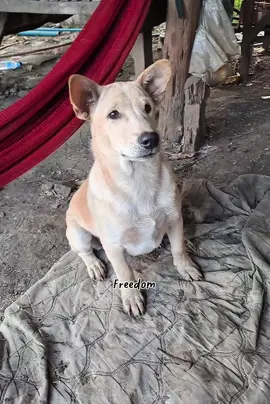 ចេះណាស់កូន😍🤍