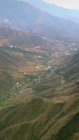 #في هذا اليوم 