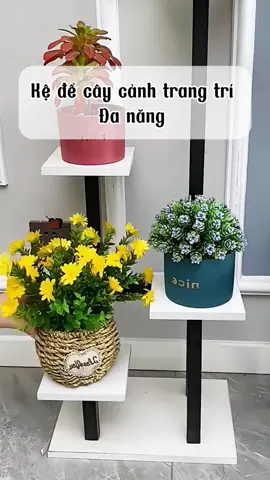 Kệ để cây cảnh trang trí đa năng #đogiadungtienich #viral #trending #foryou #shopgiadungcuabo38 