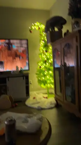 #cat #catsoftiktok #funnycat #catfail #fail #fall #fyp 