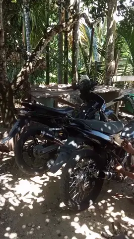 🥶#satriaf150#satria fu barong modif hitam#satriafuindonesia#satriafumodifikasi#masukberanda#fyypppppppppp