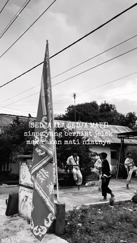 Dirga balik itu nyata🌹🔥#ikspijombangutara #ikspikerasakti_indonesia #pasker1980 #fyp #jombang24jam 