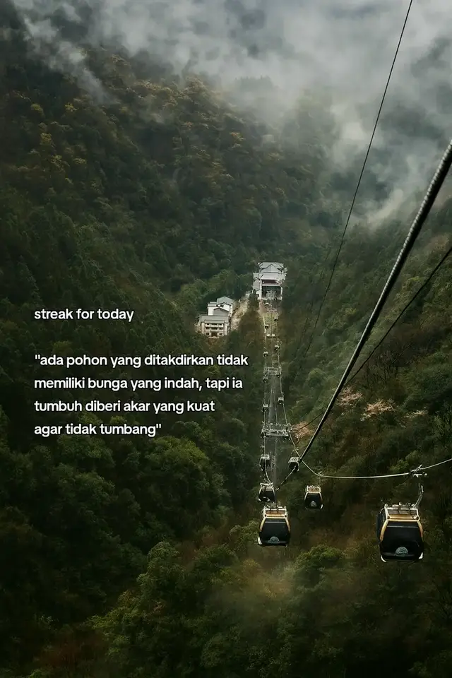 ... 📝 Bahan-bahan: -300 g daging ayam giling -100 g udang kupas cincang halus (opsional, bisa diganti ayam semua) -2 siung bawang putih, haluskan -2 batang daun bawang, iris halus -1 butir telur -3 sdm tepung tapioka / maizena -1 sdm saus tiram -1 sdm kecap asin -1 sdt minyak wijen -1 sdt garam -½ sdt merica -Kulit pangsit bulat (bisa beli siap pakai) Cara Membuat: 1. Campur adonan isi: Masukkan ayam giling, udang, bawang putih, daun bawang, telur, tepung tapioka, saus tiram, kecap asin, minyak wijen, garam, dan merica ke dalam wadah. Aduk sampai rata dan agak kenyal. 2. Bentuk dimsum: Ambil selembar kulit pangsit, beri 1 sdt adonan isi di tengah. Lipat dan rapatkan bagian pinggirnya dengan jari hingga menyerupai mangkok kecil terbuka. 3. Kukus: Susun dimsum di atas loyang kukusan yang sudah dioles minyak tipis. Kukus selama ±15–20 menit sampai matang. 4. Sajikan: Angkat, beri taburan wortel parut di atasnya bila suka. Sajikan hangat dengan saus sambal atau chili oil. Selamat Mencoba!!! #foryou #foryoupage #fyp #galaubrutal #4u 