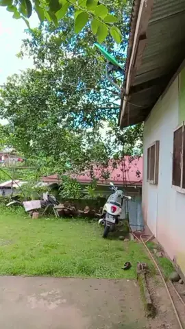 maluoy mo🤣😂 #LearnOnTikTok  #highlight 