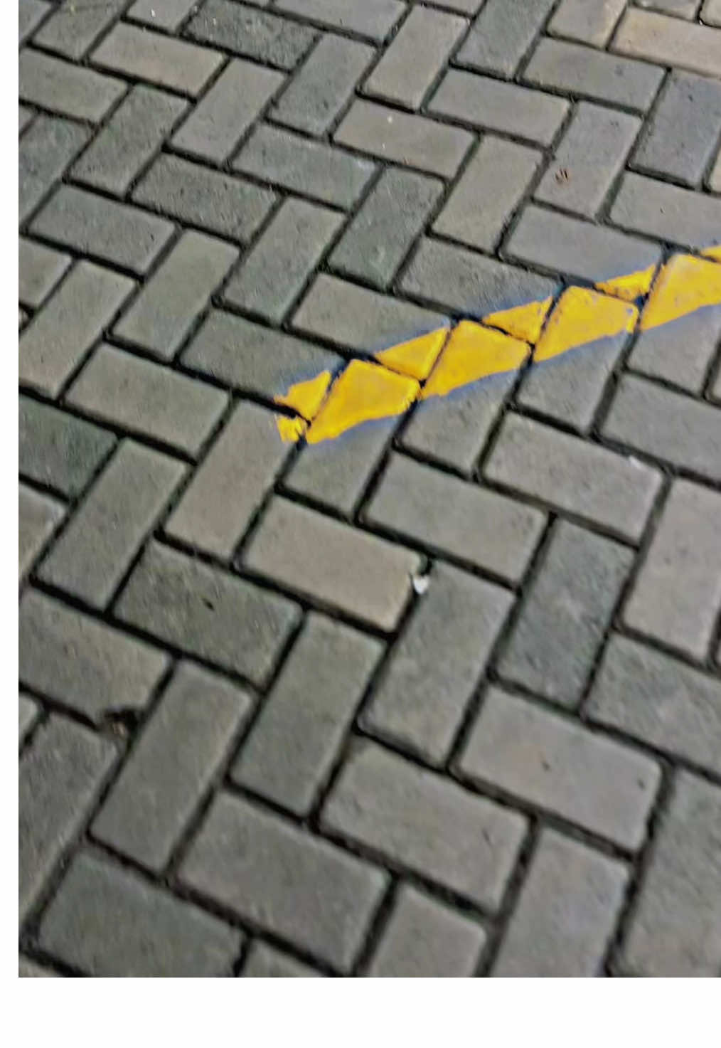 ses mak #ninjass #ninjar #pemudamatirasa🥷 #ninja 