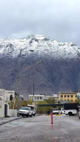 پیرەمەگروون 🌸🌼