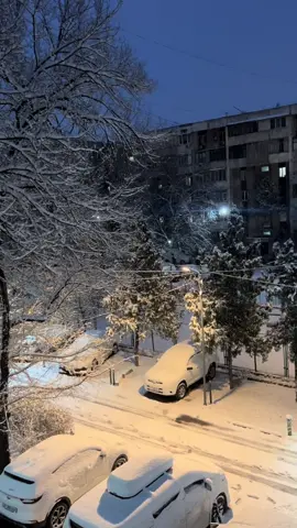 #bishkek_kyrgyzstan_🇰🇬 #snowfall #fypシ゚viral #beauty #viraltiktok 