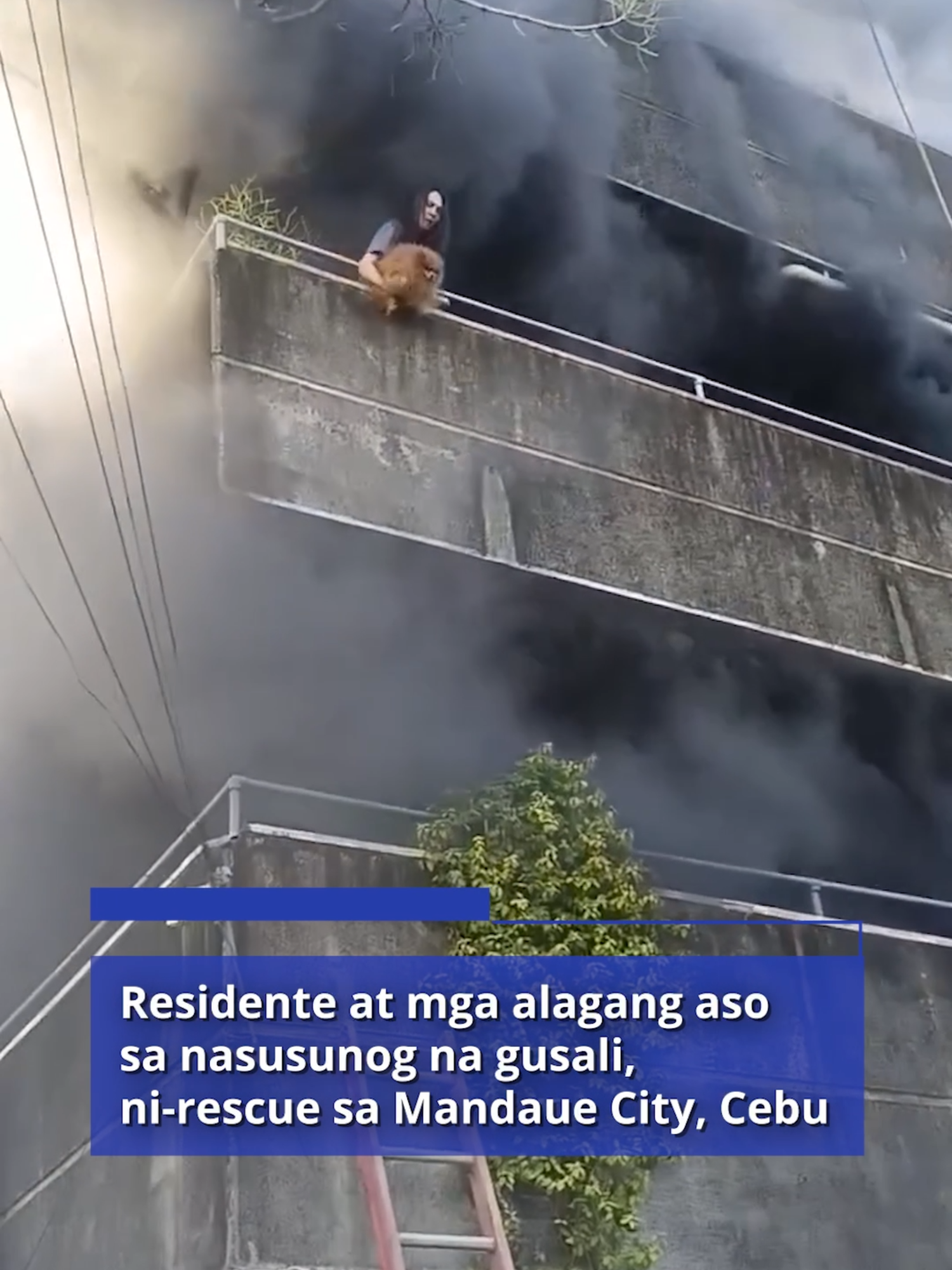 PANOORIN: Aktwal na video ng pagliligtas kay Eimeilee Maningo, pamangkin ng may-ari ng isang commercial building sa Barangay Guizo, Mandaue City na nasunog nitong Miyerkules ng umaga, Disyembre 10. Makikita rin sa bidyo ang pagliligtas sa mga alagang aso sa naturang establisyimento. | via Remart Pogoy at Rayden Zafra, RMN Cebu 📹: Ivy Baya #RMNCebu #RMNnews #PowerOfHyperlocal #TatakRMN