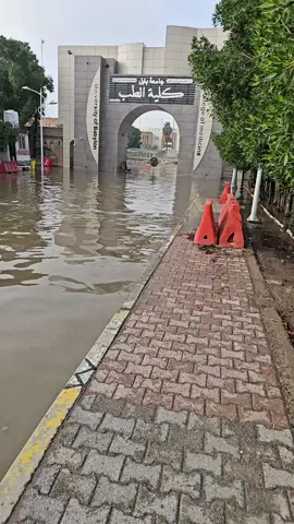 😂💔   #الحله #تصوير #hilla #كلية_الطب 