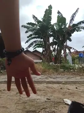 padahal pen cuma pura² malah kelindes😭