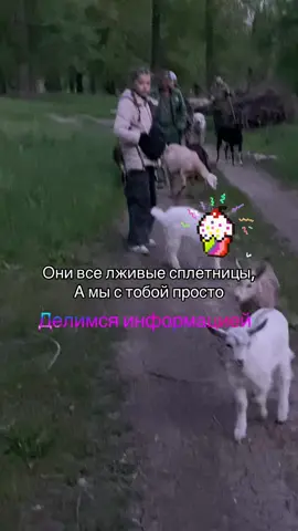 @⊹ ࣪ ˖ ⊹ ࣪ ˖ ⊹ ࣪ ˖ ⊹ ࣪ ˖ @соф и Аня еще💘💘💘 #юмор #врек #рек 