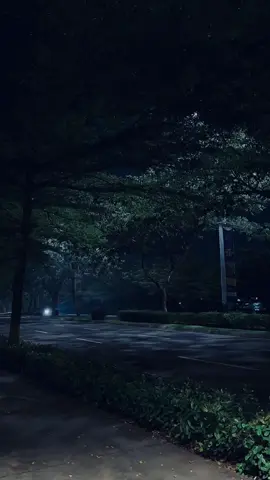 皆さんこんにちは