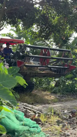 @Trường Nhỏ ✈️ @Quốc Huy 🐢 @Nguyen Đatttttt @tuấn nguyễn @người việt lon tây^^ @Nguyễn Thái #dc105x #xuhuongtiktok #tt 