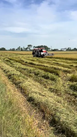 1 mik 4h 110c quá êm 🥰@Tý Sì Tủn  