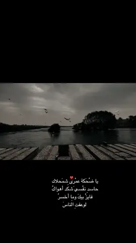 #ستوريات #حب #حديثه_عذراء_الانبار 