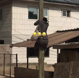 Mood Next Year…..😂😂 #video #mood #fyp  @@QWEKU-MC 