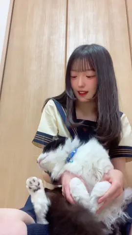 下書き消化期間入ります、最後頭痒かったみたい🐱#福岡#08#fyp 