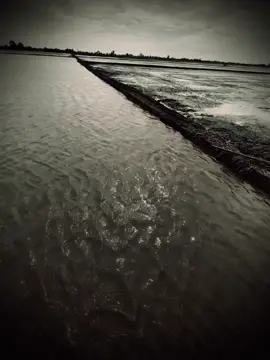 “人们选择天空因为天空广阔，我选择你因为有你刚好够我一生一世的爱。