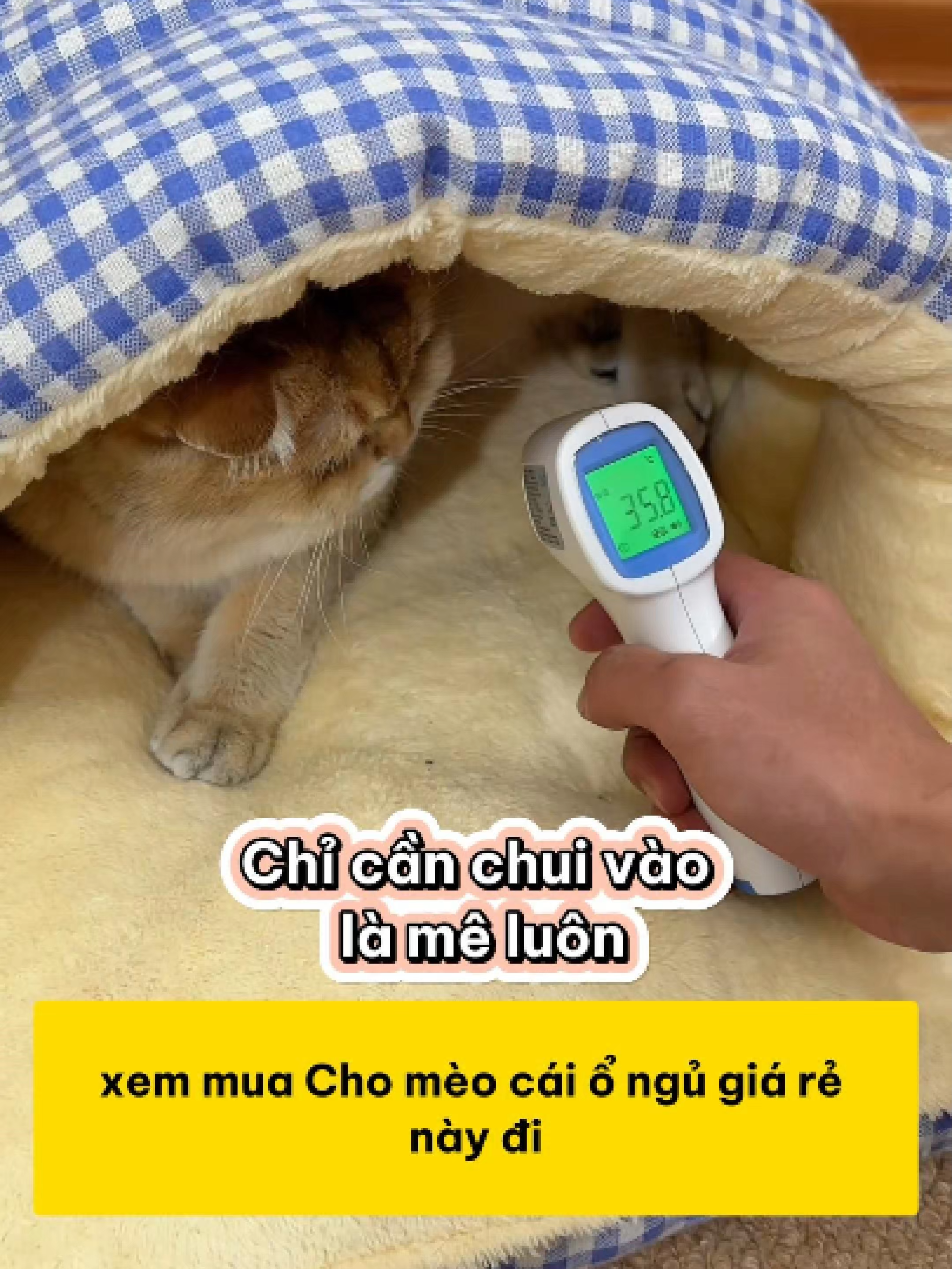 Chỉ cần chui vào là mê luôn #shopthucung