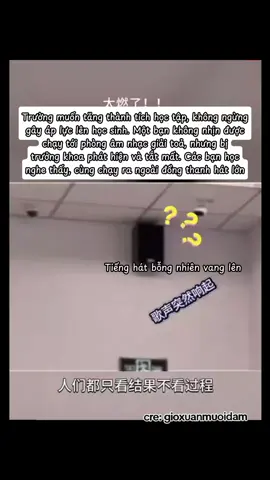 Cứ cố gắng hết mình, mệt rồi thì nghĩ 1 lát rồi lại tiếp tục đứng lên, không có ước mơ nào mà dễ dàng đạt được, cũng chẳng có ước mơ nào không kiên trì, cố gắng nổ lực mà thành #xuhuong #thanhxuan #thoidaiphongtuanlau18 #trungkhanh #lau18_🍿 