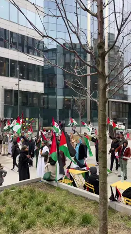 #الجالية_الصحراوية🇪🇭🇪🇭🇪🇭🇪🇭  #بروكسل_بلجيكا🇧🇪  #saharaoccidental🇪🇭 