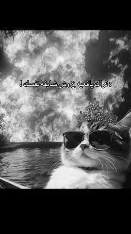 #viral #explore #foryou #foryoupage #يافع 