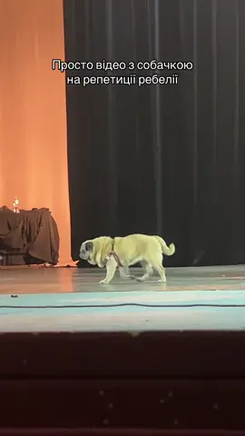 @Mariia Demenko 🫶🏻