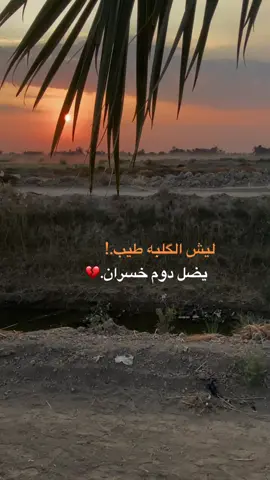 #عباراتكم💔💔؟ #تصويري_احترافي_الاجواء👌🏻🕊😴 #تصويري📸اكسبلوور #محمد_نزار 