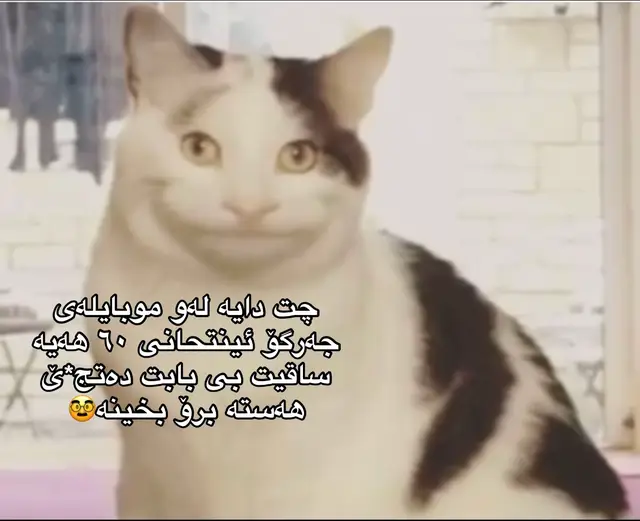 #active #foryupage #fybシviral #vewsproblem🥺 #شعب_الصيني_ماله_حل😂😂 