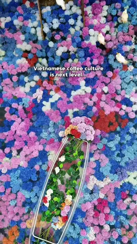 Vietnamese coffee culture is truly next level! ☕️🇻🇳 It’s not just about catching up over a drink; it’s a place to pause, relax, and even capture some stunning photos. 📸 There are so many cafes here with incredible, thoughtfully designed decor. 🌿 They create a refreshing escape right in the middle of the city that you will absolutely love. Would you like us to list cafes with different vibes next? Let us know below! ✨👇 🔥Direct to book your customized itinerary with Meetup Local Experts🇻🇳