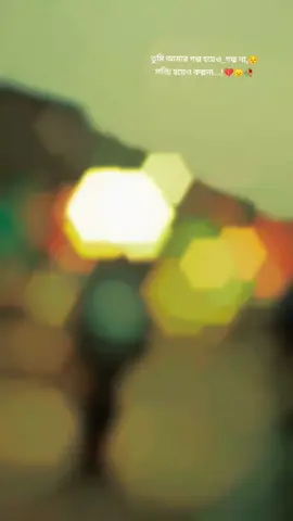 #অন্যের হাত ধরার আগে একবার ও ভাবলা না আমার কি হবে #ভাইলার_ভিডিও #foryou #foryoupage #tiktokindia 