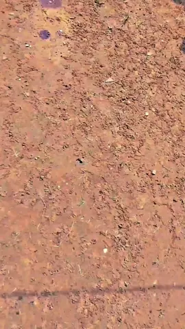 SABARRR🙂#fypシ゚ #semogafyp #masukberanda #4u #xybca 