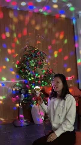 #thaohomhinh #xuhuong #denled #denledtrangtri 