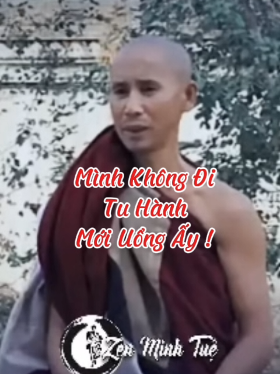 Mình Không Đi Tu Hành  Mới Uổng Ấy #loiPhatday #ThichMinhTue #thongdiepcuocsong #nhungcaunoihay #xuhuongtiktok 