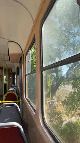 Немного лета в ленту #Summer #vibe #fyp