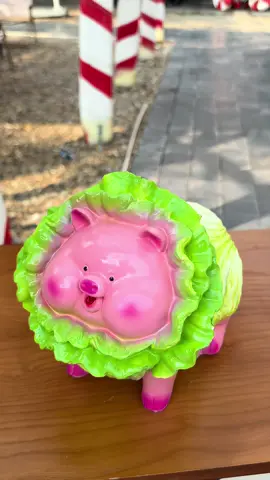 Heo bắp cải hot hit...#heodat #heoxinh #heodatcute #heobapcai #heodatbapcai 