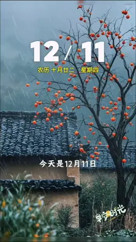 今天是12月11日，星期四，早安。人生就是一场体验。望远处是风景，看近处才是人生。岁月静好是片刻，一地鸡毛是日常。愿余生岁月无恙，只言温暖，不谈悲伤，落落大方，好好生活。