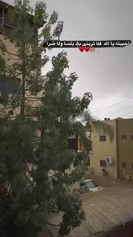 #فيا_حب_فيا_وجد🥹🤲🏼 #بطلعع💘؟ #لايك__explore💋 #משולש48 #ناصره_قلنسوة_طيبه_ام_الفحم🖤 بحبكووووووووو كلكووو🥹💕