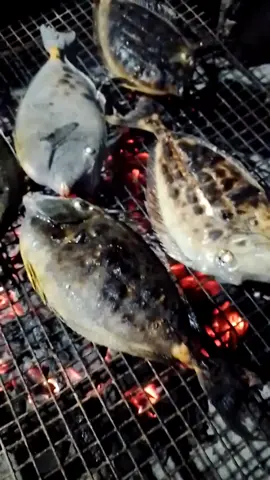 inihaw na gangis😋