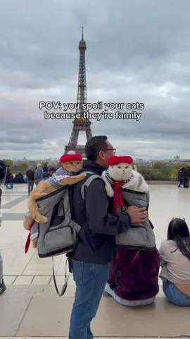 We've been so impressed with the Festive Cat Climber Collection from Vetreska. Check out vetreskanyc.com to get your cat a festive climber this holiday season! @vetreska_official #vetreskapartner #VETRESKA #VETRESKAnyc #VETRESKAHoliday #FestiveCatClimber 