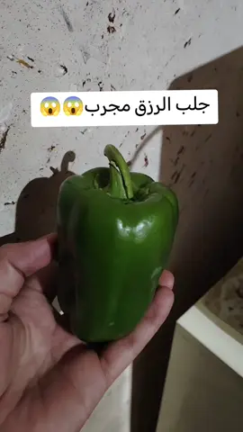 #جلب #الرزق #الوفير #حل مشاكل