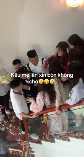 Mẹ xin cũng vô ích😂😂😂 #creatorsearchinsights 