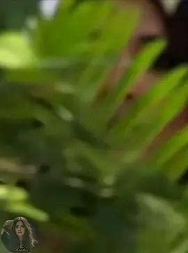 انا بعشقك #ياسمين_عبدالعزيز #نانسي_عجرم #منى_الشاذلي 