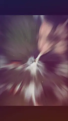 Thằng chồn mìn bảo là không thích đàn bà nó chỉ thích đàn guitar thôi mn ạ🥰🥰🥰mìn đỡ ghen hẳn🥰🥰#martin #cortis #coer 