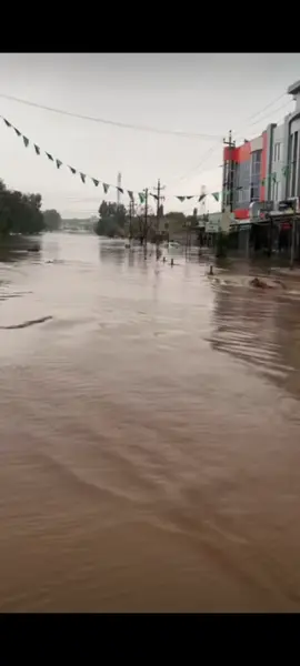 لافاوەکەی چەمچەماڵ#_سوریا_العراق_السعودیة_الکویت #توکیا 