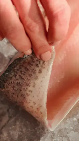 A close-up look at our new menu star, Rainbow Trout 🐟🌈