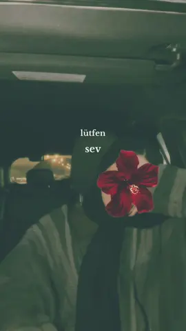 #بغداد_العراق🇮🇶 #VelocityFunk #اربيل_العراق_كوردستان #تيم_العراق #هاشتاق 