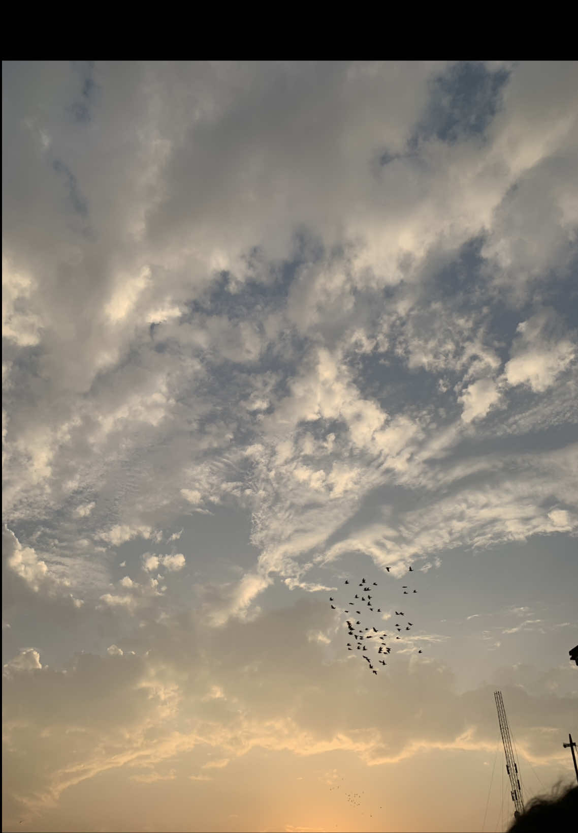 🙈🙈♥️#مطر #مطر_غيوم #رحمه_رياض #اغنيه_رحمه_رياض_الجديده #تصويري 