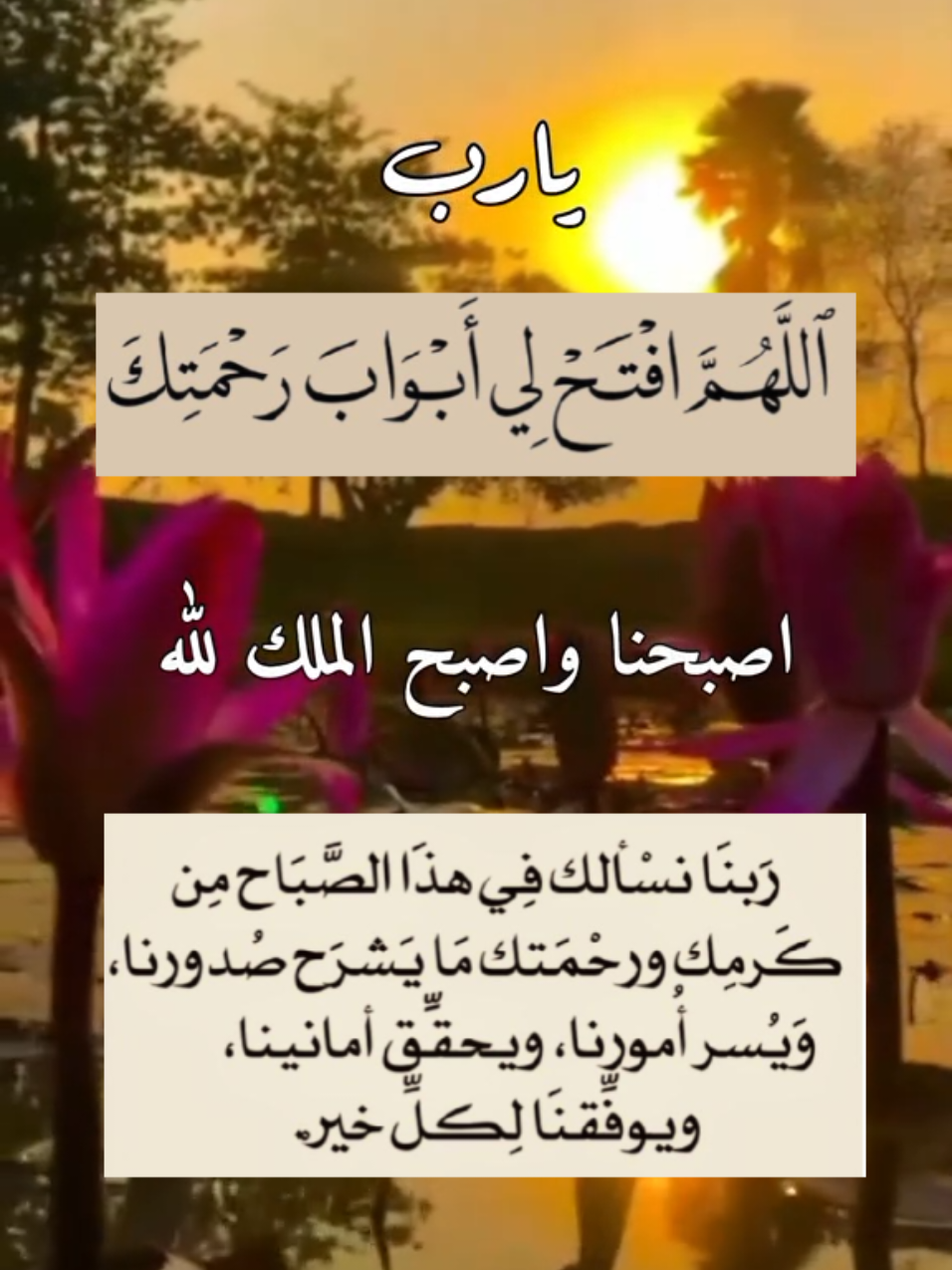 #دعاء #دعاء_الصباح #اللهم_فرج_همومنا_واصلح_احوالنا #يارب #اللهم_صلي_على_نبينا_محمد 